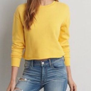 AE CROPPED CREWNECK SWEATER 🌻